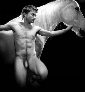 20070927124436-harry-potter.jpg